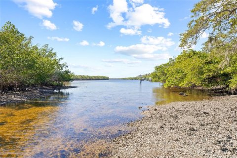 Land in Ruskin, Florida № 1561229 - photo 19