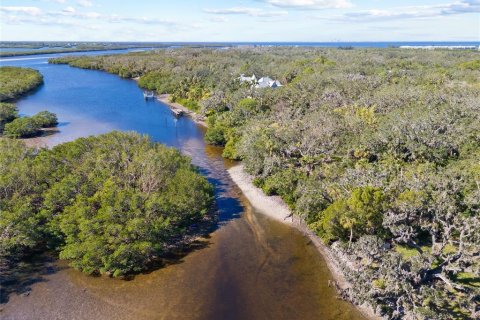 Land in Ruskin, Florida № 1561229 - photo 7