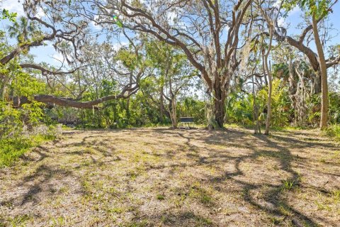 Land in Ruskin, Florida № 1561229 - photo 17