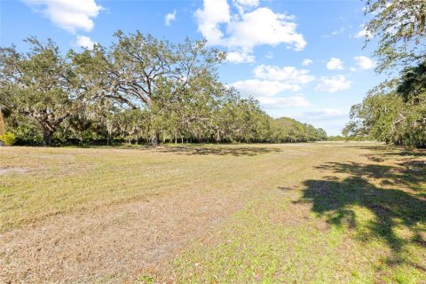 Land in Ruskin, Florida № 1561229 - photo 9