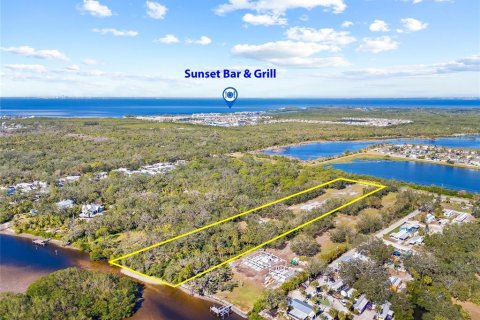 Land in Ruskin, Florida № 1561229 - photo 4