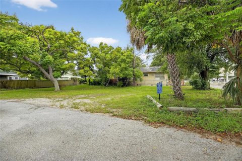 Land in Tampa, Florida № 1899465 - photo 5