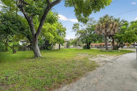 Land in Tampa, Florida № 1899465 - photo 1