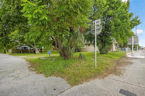 Land in Tampa, Florida № 1899465 - photo 6