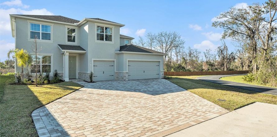 House in Lutz, Florida 4 bedrooms, 304.25 sq.m. № 1545829