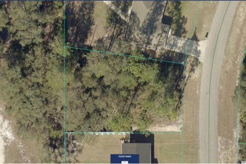 Land in Ocala, Florida № 2162893