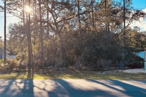 Land in Ocala, Florida № 2162893 - photo 2