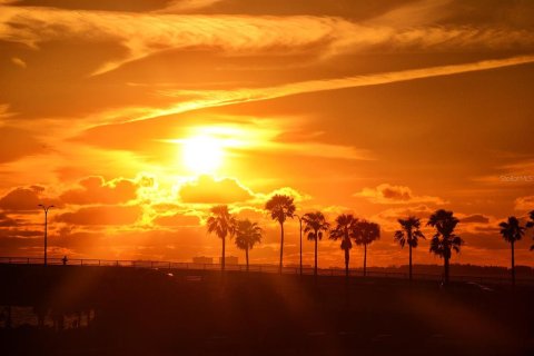 Condo in Longboat Key, Florida, 3 bedrooms  № 1870520 - photo 7