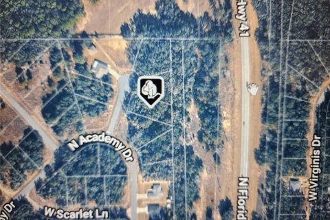 Land in Dunnellon, Florida № 2211884