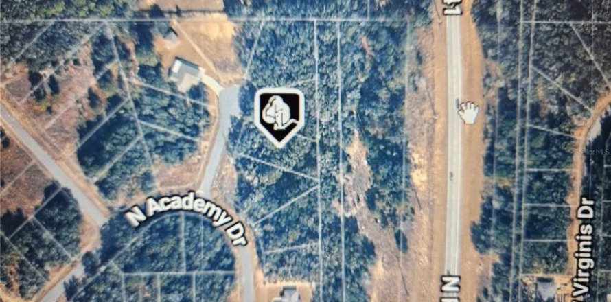 Land in Dunnellon, Florida № 2211884