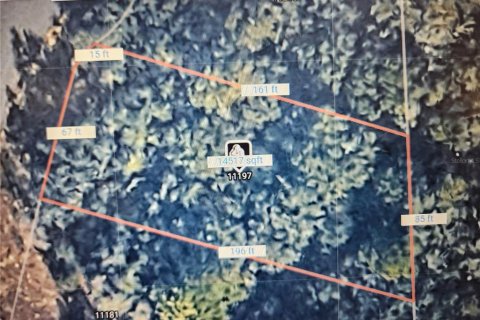 Land in Dunnellon, Florida № 2211884 - photo 2