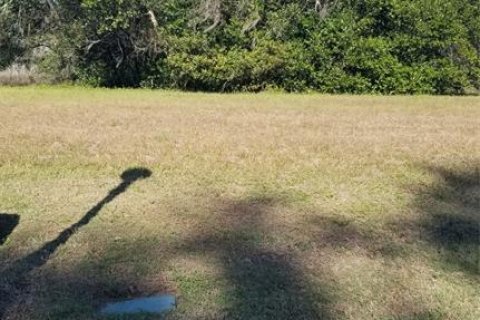 Land in Gainesville, Florida № 2298515