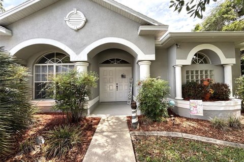 Villa ou maison à Homosassa, Floride 3 chambres, 201.13 m2 № 2133544