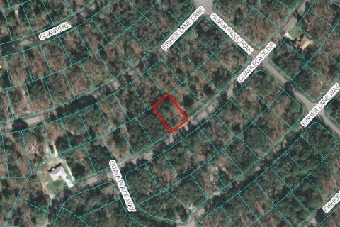 Land in Ocklawaha, Florida № 2160240