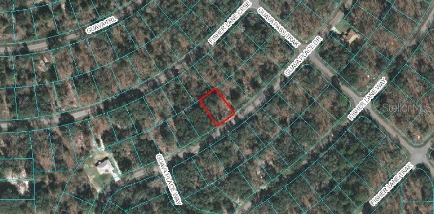 Land in Ocklawaha, Florida № 2160240