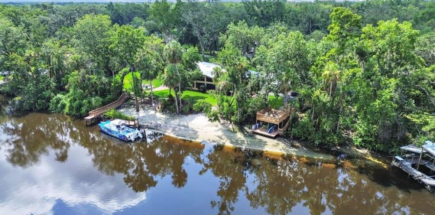 House in Riverview, Florida 6 bedrooms, 353.68 sq.m. № 1832999