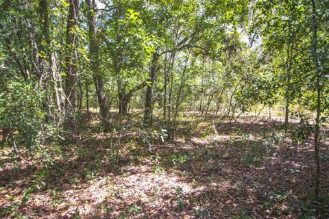 Terreno en venta en Hawthorne, Florida № 1912489 - foto 12