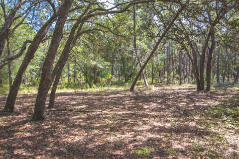 Terreno en venta en Hawthorne, Florida № 1912489 - foto 14