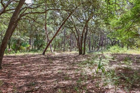 Terreno en venta en Hawthorne, Florida № 1912489 - foto 13
