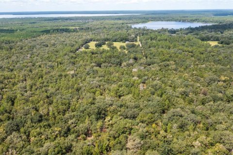 Terreno en venta en Hawthorne, Florida № 1912489 - foto 2