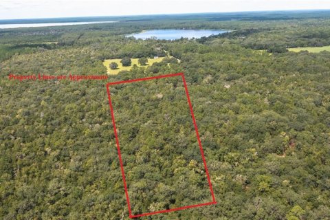 Terreno en venta en Hawthorne, Florida № 1912489 - foto 4