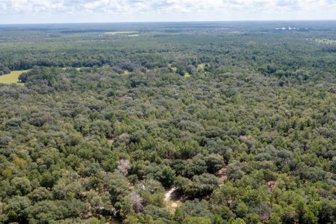 Terreno en venta en Hawthorne, Florida № 1912489 - foto 1