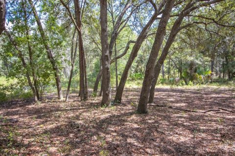 Terreno en venta en Hawthorne, Florida № 1912489 - foto 15