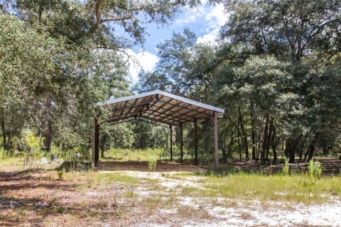 Terreno en venta en Hawthorne, Florida № 1912489 - foto 6