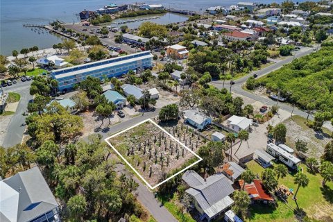 Land in Cedar Key, Florida № 2118910