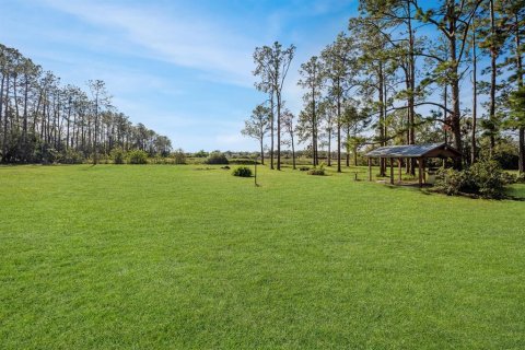 House in Riverview, Florida 3 bedrooms, 152.08 sq.m. № 1772232 - photo 5