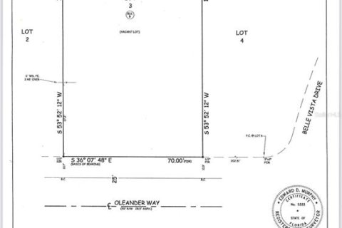 Terreno en venta en Saint Pete Beach, Florida № 1782593 - foto 3