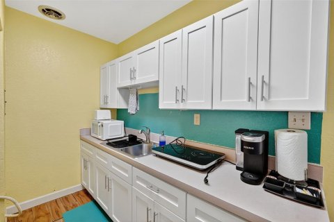 Hôtel, hôtellerie à vendre à Safety Harbor, Floride: 288.55 m2 № 1903974 - photo 14