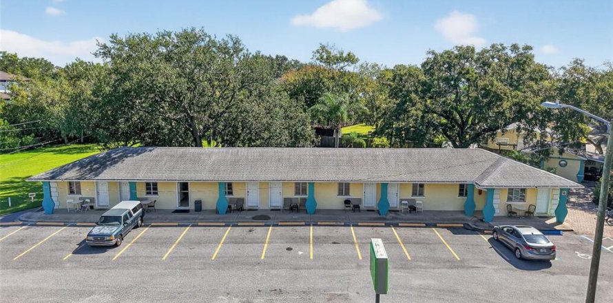 Hôtel, hôtellerie à Safety Harbor, Floride 288.55 m2 № 1903974