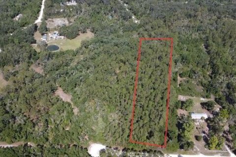 Land in Old Town, Florida № 1744986 - photo 7
