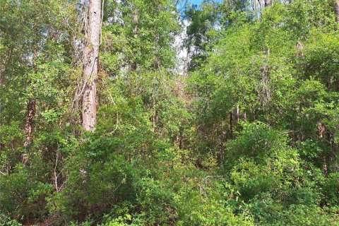 Land in Old Town, Florida № 1744986 - photo 4
