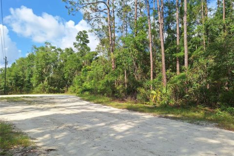 Land in Old Town, Florida № 1744986 - photo 5