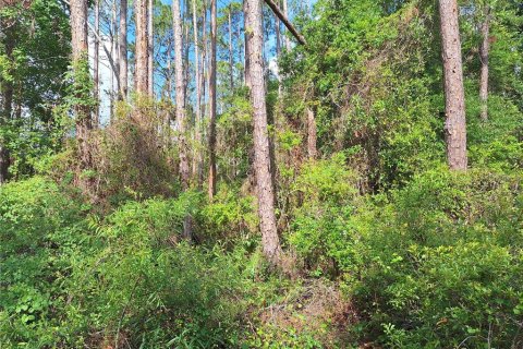 Land in Old Town, Florida № 1744986 - photo 1