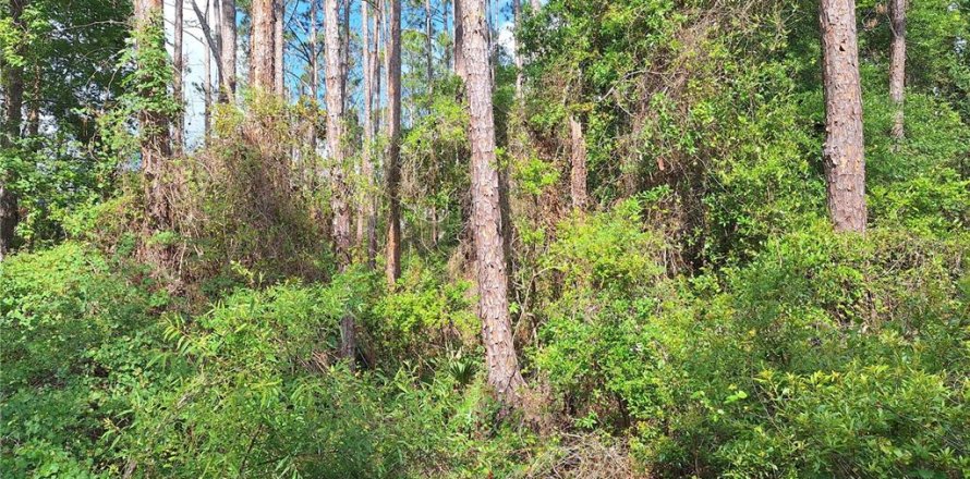 Land in Old Town, Florida № 1744986