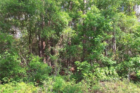 Land in Old Town, Florida № 1744986 - photo 2