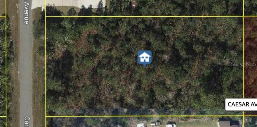 Terreno en Orlando, Florida № 1834652
