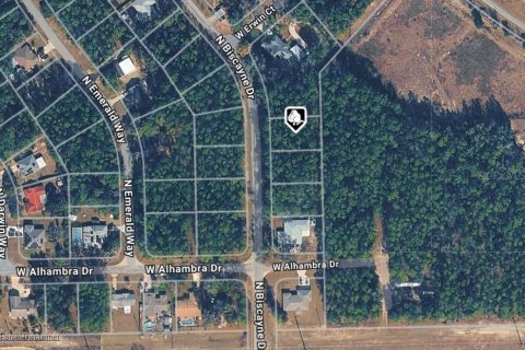 Land in Citrus Springs, Florida № 2164629 - photo 3