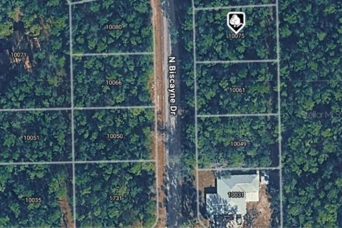Land in Citrus Springs, Florida № 2164629
