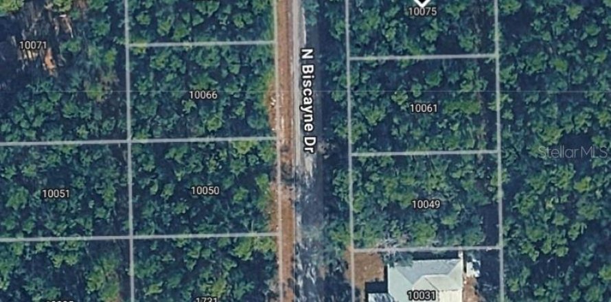 Land in Citrus Springs, Florida № 2164629