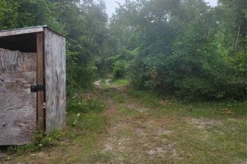 Земельный участок в Деланд, Флорида № 2161335