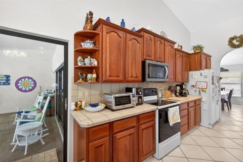 Casa en venta en Tampa, Florida, 4 dormitorios, 237.09 m2 № 2206540 - foto 12