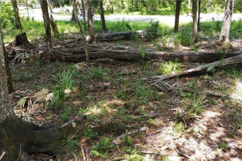 Casa en venta en Homosassa, Florida, 3 dormitorios, 151.71 m2 № 1529533 - foto 26
