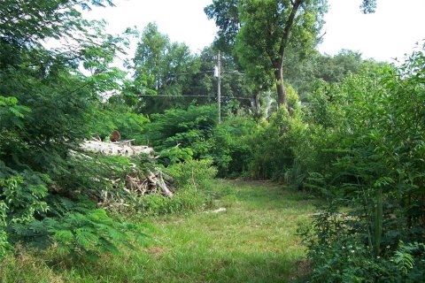 Land in Eustis, Florida № 217568 - photo 5