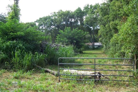 Land in Eustis, Florida № 217568 - photo 7
