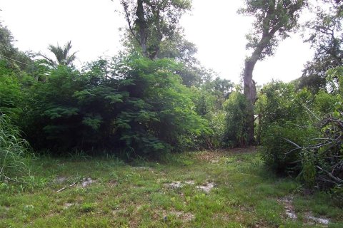 Land in Eustis, Florida № 217568 - photo 6