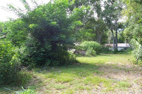 Land in Eustis, Florida № 217568 - photo 3